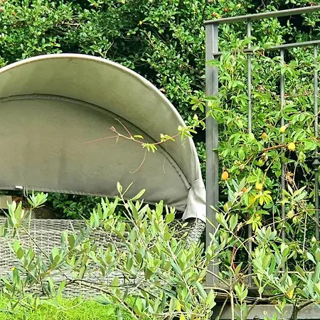 Bella Vista Maggiore Einzigartiger Blick 365 Tagen Apartment Ghiffa